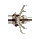 Hooked Arrowheads