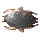 Cockroach