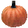 Ripe Pumpkin