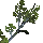 Sprig of Rotweed