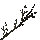Dry Treant Branch