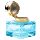 Perfected Augmentation Distiller