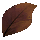 Skullcap