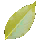 Stale Oleander