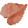 Pinkroot