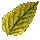 item_2213.png