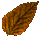 Fellowship Lumber Bundle: Red Alder