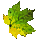 Fellowship Lumber Bundle: Light Green Maple