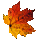Fellowship Lumber Bundle: Red Maple