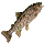 Salt Minnow