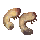 Arctic King Crab
